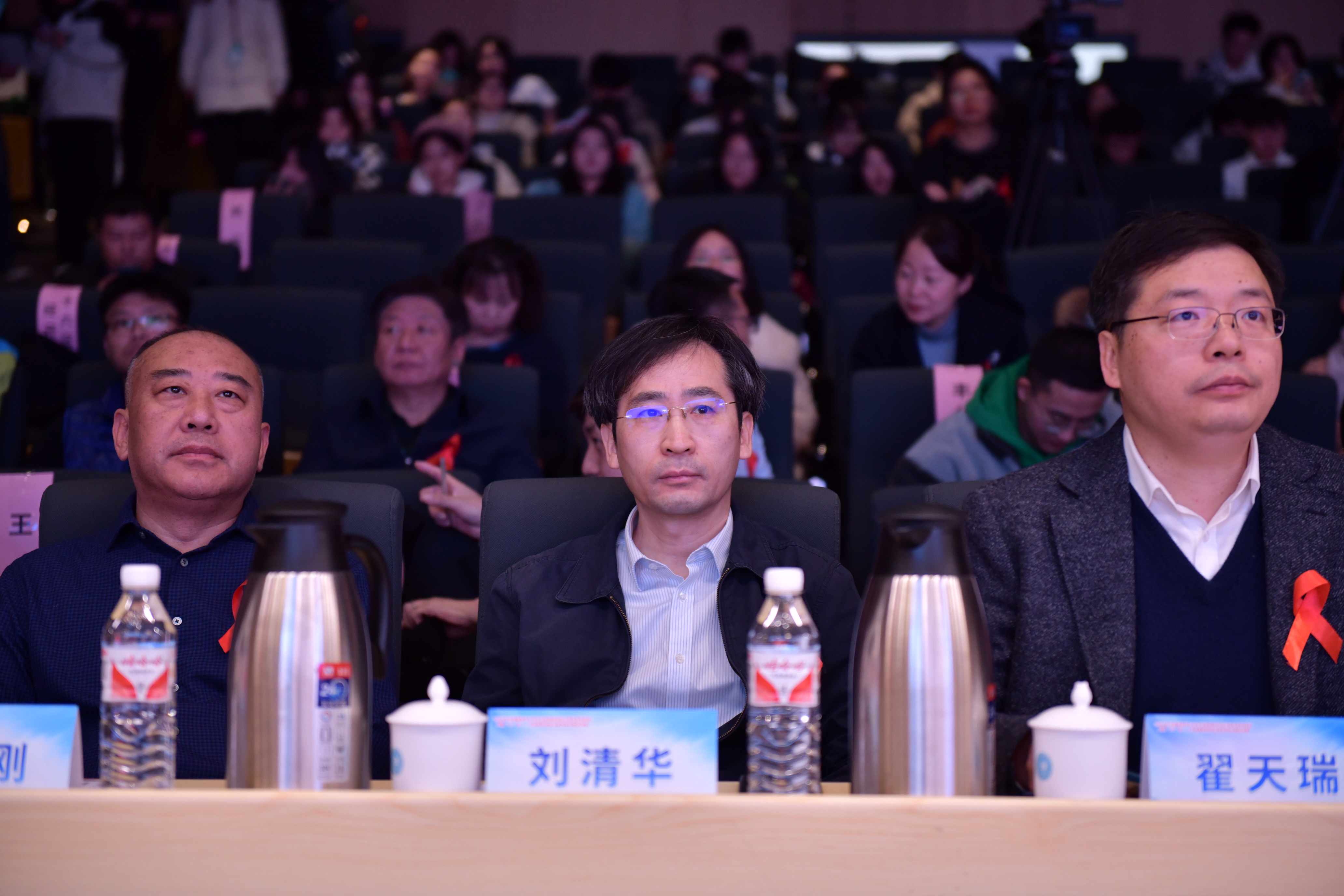 ZLI_4793.JPG