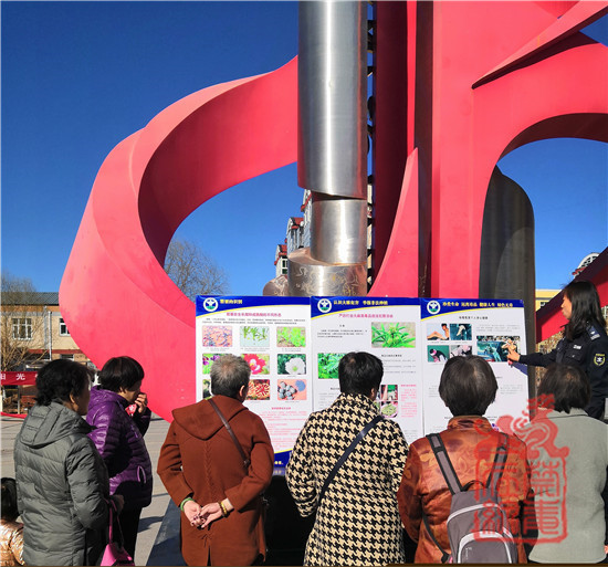 图片1