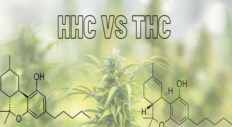HHC